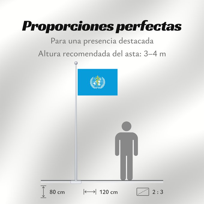 Proporciones de la bandera: WHO World Health Organization L Organisation mondiale de la santé 世界衛生組織的旗幟。