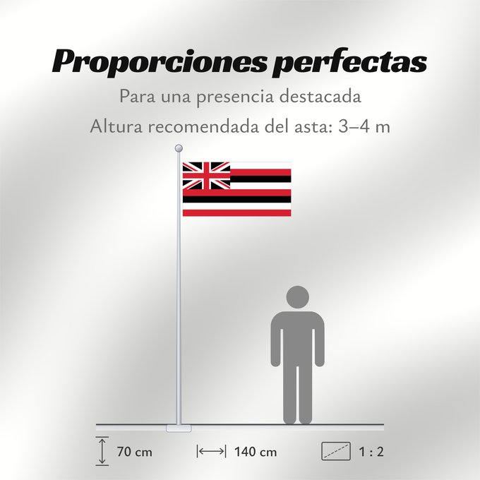 Proporciones de la bandera: Hawaii D Hawaï Hawái Banniel Hawaii ᎭᏩᏱ ᎦᏓᏘ Ka hae Hawaiʻi 夏哇夷 州의 旗 / 하와이 주의 기 Havaii Hawáai Hahoodzo bidah naatʼaʼí Флаг Гавайев Američke savezne države Havaji