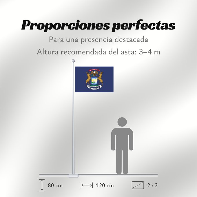 Proporciones de la bandera: Michigan