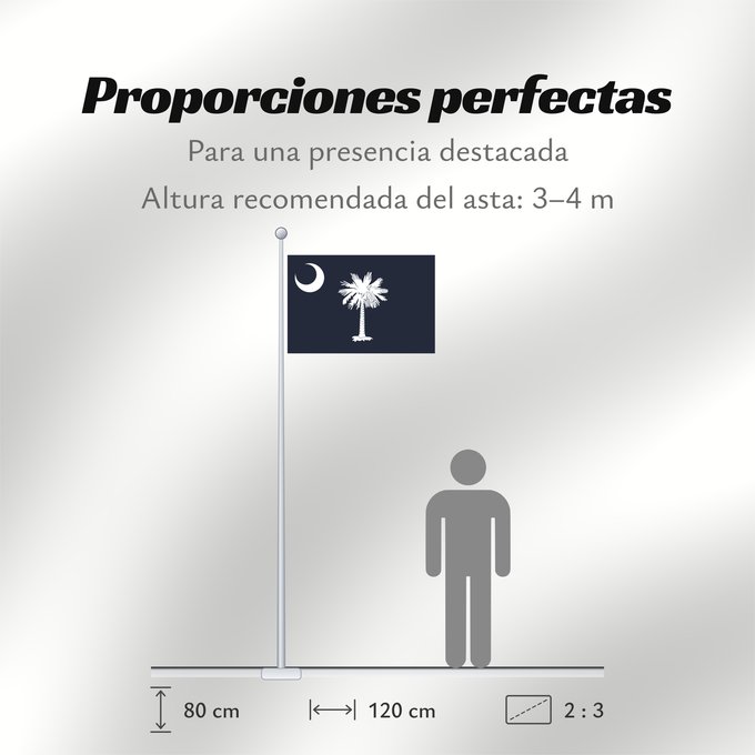 Proporciones de la bandera: South Carolina	Caroline du Sud	Carolina del Sur	Carolina del Sud	علم كارولاينا الجنوبية	ᏐᎦᎴᏂ ᎦᏓᏘ	Ka hae Kalolaina Hema	Carolinae Meridionalis	Shádiʼááhjí Kééláanah Hahoodzo bidah naatʼaʼí	Флаг Южной Каролины	Američke savezne države Južne Karoline