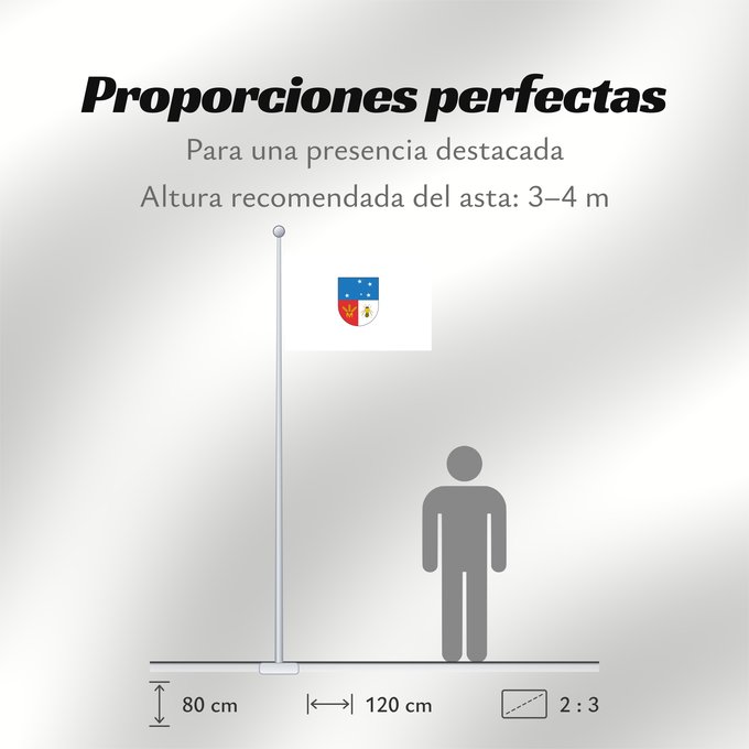 Proporciones de la bandera: Colonia Department Colonia département de Colonia