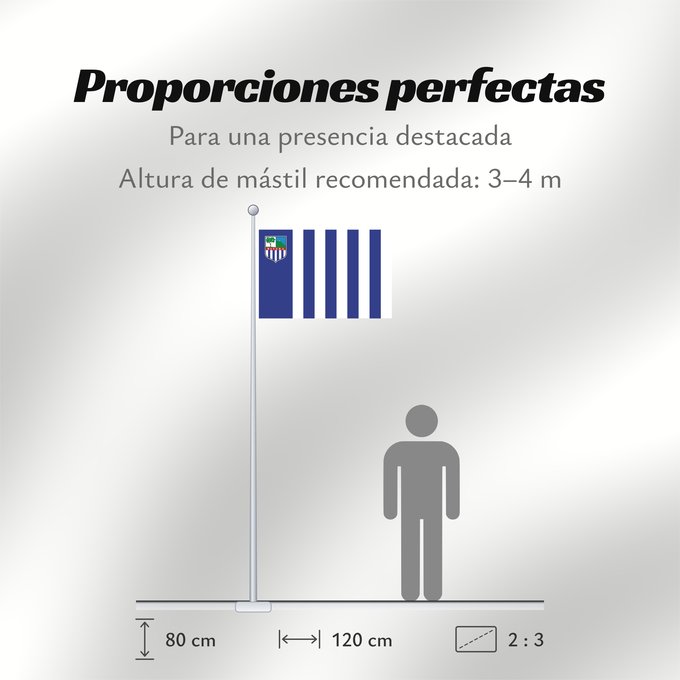 Proporciones de la bandera: Rivera Department	Rivera