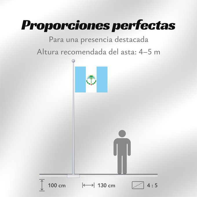 Proporciones de la bandera: Neuquén