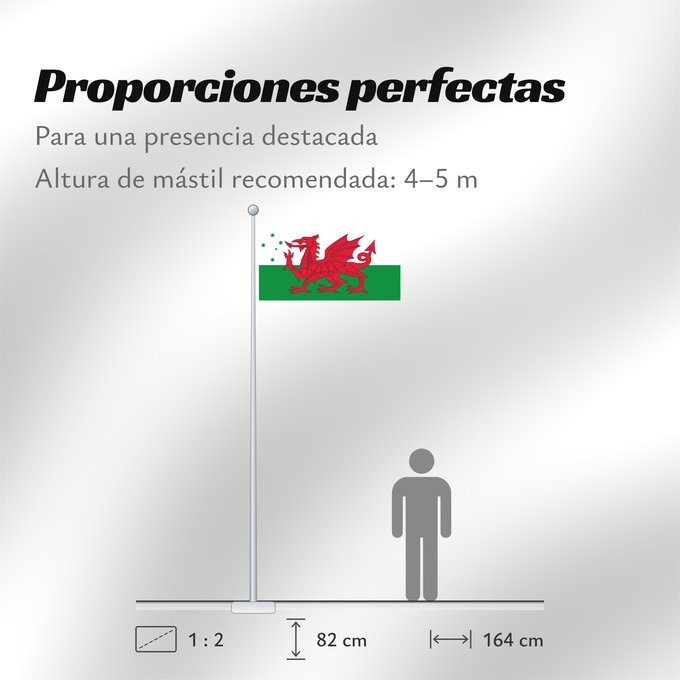 Proporciones de la bandera: Australian Welsh heritage
