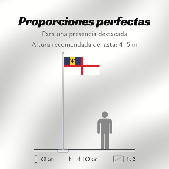 Proporciones de la bandera: Naval Ensign of Barbados