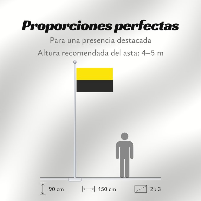 Proporciones de la bandera: Andenne Belgian municipality Andenne Banniel Andenne