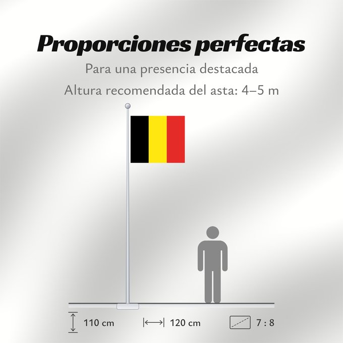 Proporciones de la bandera: Belgium  state	Belgium	Drapeau d'État de Belgique	Bandera de estado de Bélgica	Staatsflagge Belgiens	Bandiera di stato del Belgio