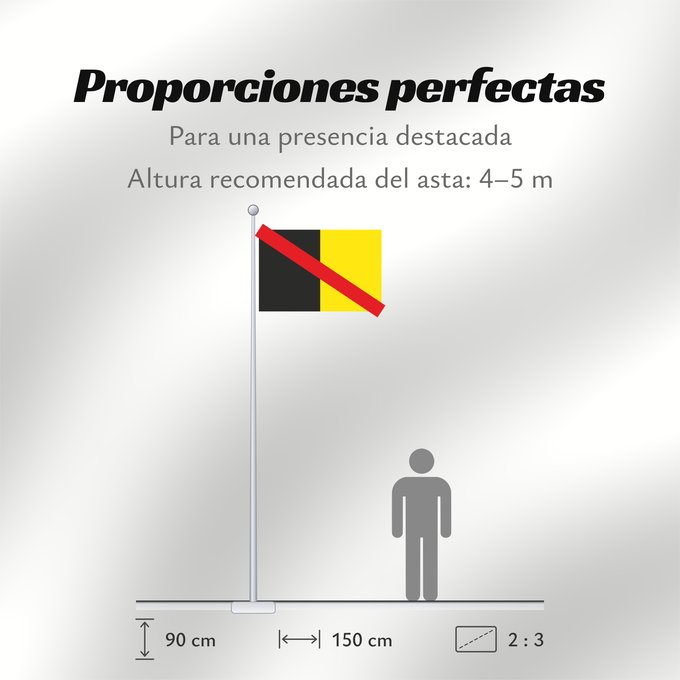 Proporciones de la bandera: Fontaine l Évêque Belgium
