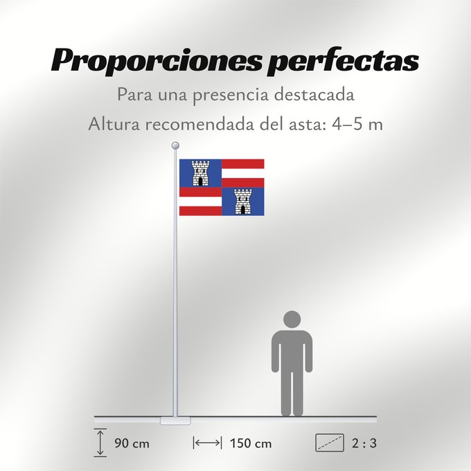 Proporciones de la bandera: Paliseul Belgian municipality of Paliseul Commune belge de Paliseul Belgischen Gemeinde Paliseul Belgische gemeente Paliseul