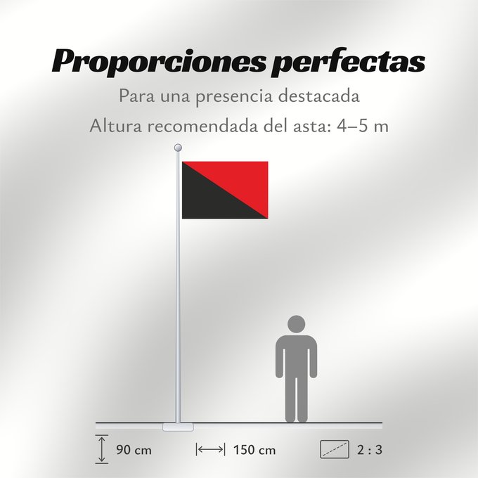 Proporciones de la bandera: Sambreville	Belgian municipality Sambreville