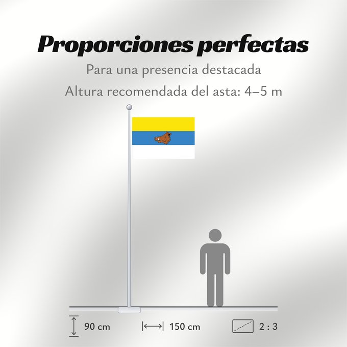 Proporciones de la bandera: Zaventem	Belgian municipality of Zaventem	Commune belge de Zaventem	Belgischen Gemeinde Zaventem	Vlaams-Brabantse gemeente Zaventem