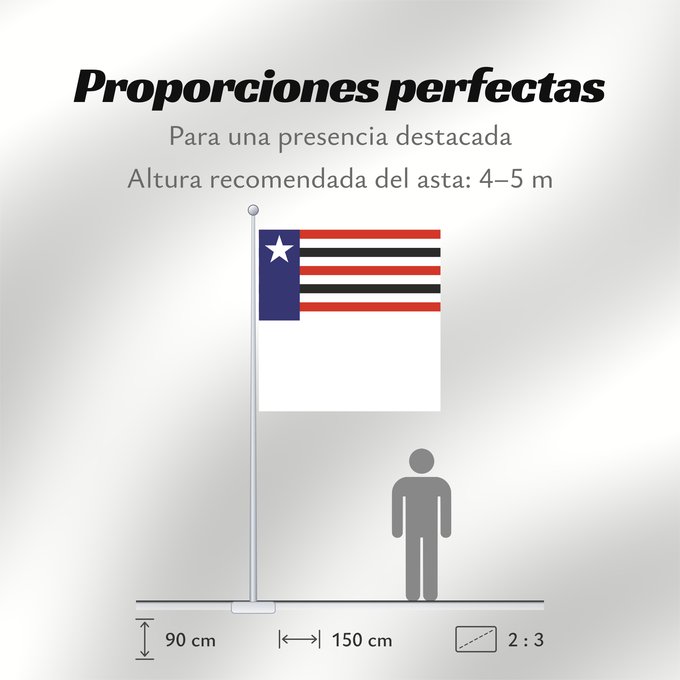 Proporciones de la bandera: Maranhão