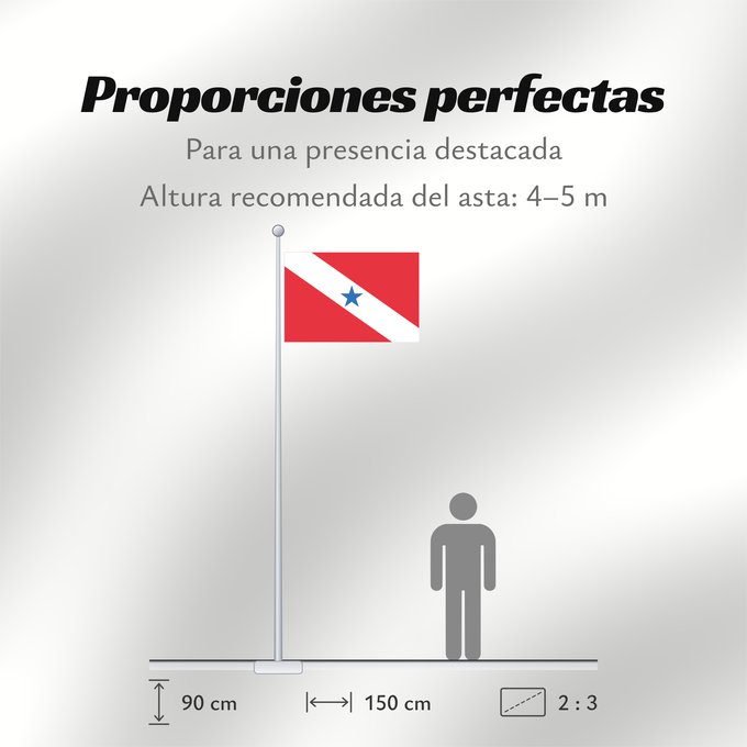 Proporciones de la bandera: Pará
