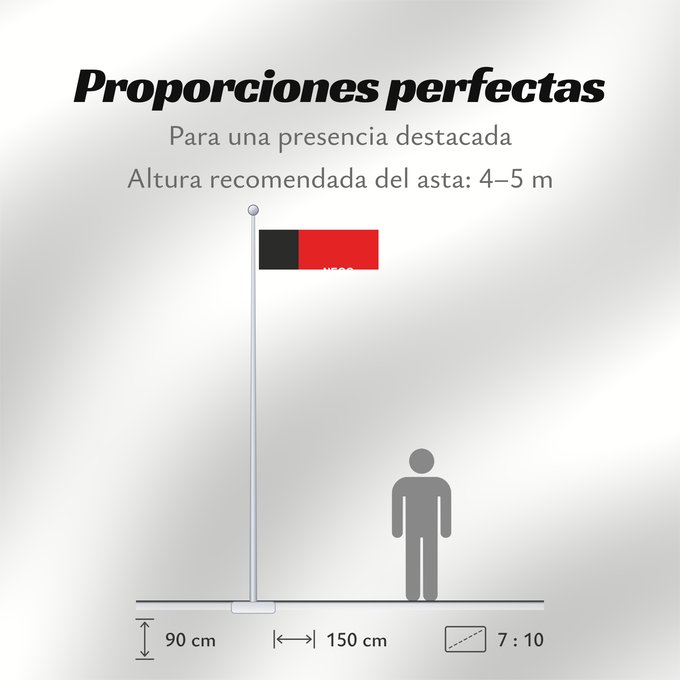 Proporciones de la bandera: Paraíba