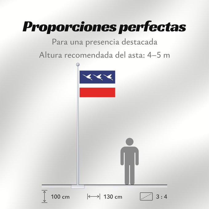 Proporciones de la bandera: Guaratingueta SaoPaulo Brasil 2	Sao Paulo s city Guaratinguetá, Brazil	Guaratinguetá (2)	Município de Guaratinguetá no Estado de São Paulo