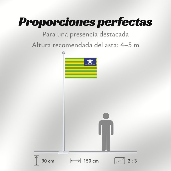 Proporciones de la bandera: Piauí verso Verse of the flag of the state of Piaui designed by me in accordance with the state law of 1,050 Piauí (envers) Piauí (reverso) Piauí (Rückseite) Versetto di bandiera dello stato di Piauí progettato da me in conformità con la legge n Verso da