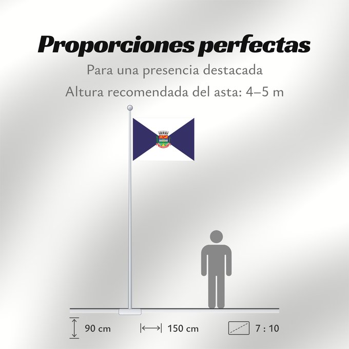 Proporciones de la bandera: São Gonçalo	São Gonçalo, RJ, Brazil