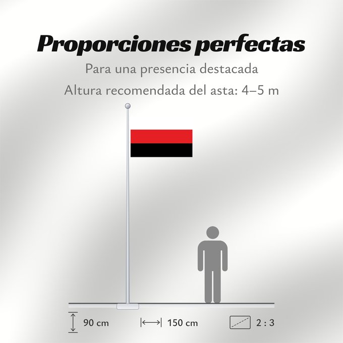 Proporciones de la bandera: Partit Llibertat Bielorus	Belarusian Freedom Party	Parti de la Liberté de Biélorussie	Partido de la Libertad de Bielorrusia	Freiheitspartei von Belarus	Partito della Libertà bielorusso	Partit de la Llibertat Bielorus