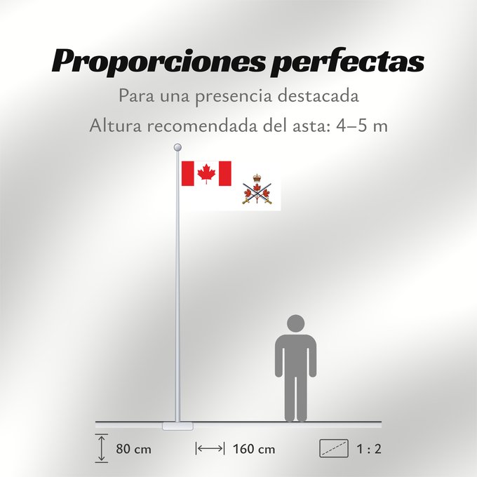 Proporciones de la bandera: Canadian Army (2013–2016)
