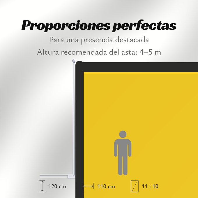 Proporciones de la bandera: David Lam Arms