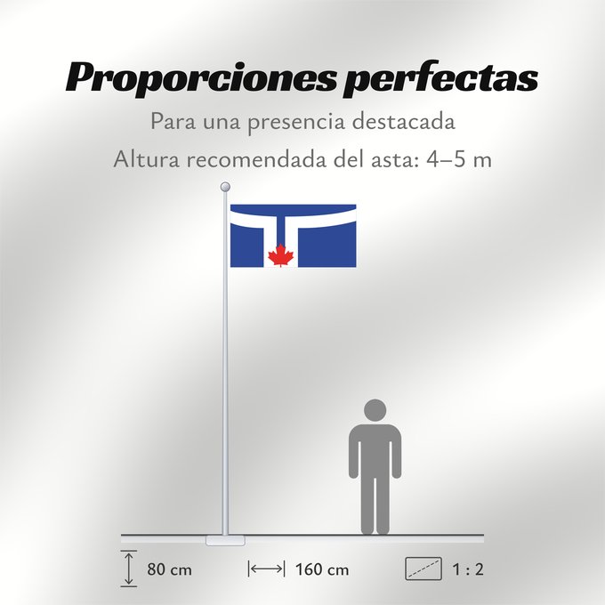 Proporciones de la bandera: Toronto	Toronto, Ontario