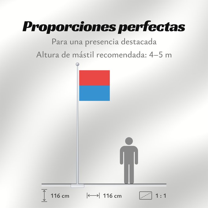 Proporciones de la bandera: Canton of Tessin	Canton Ticino or Ticino	canton du Tessin	Cantón del Tesino	Ticino	Canton of Tessin  Switzerland