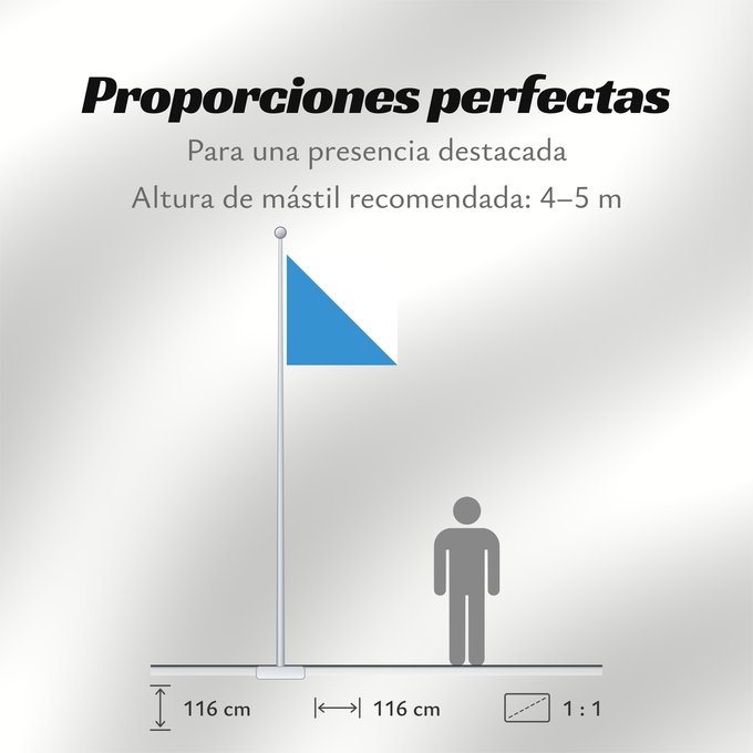 Proporciones de la bandera: Zürich (de)
