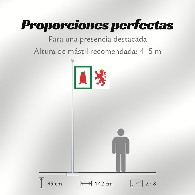Proporciones de la bandera: Arauco	Arauco, Chile