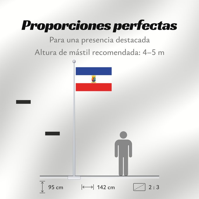 Proporciones de la bandera: Chillán Viejo