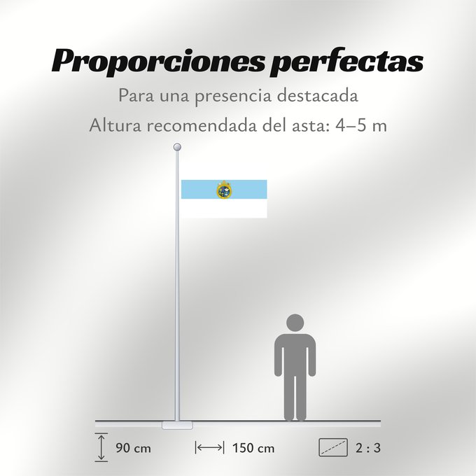 Proporciones de la bandera: Pontificia Universidad Católica de Chile Pontifical Catholic University of Chile Université pontificale catholique du Chili Pontificia Universidad Católcica de Chile Päpstliche Katholische Universität von Chile Pontificia Università Cattolica del Cile