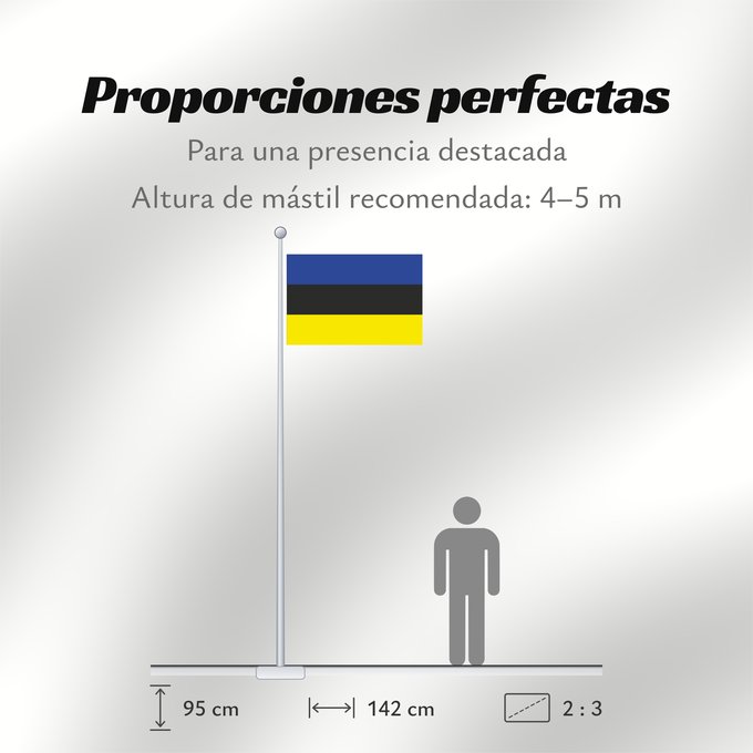 Proporciones de la bandera: Placilla, Chile	Placilla