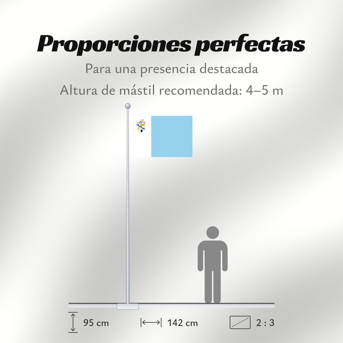 Proporciones de la bandera: Río Bueno	Río Bueno, Chile