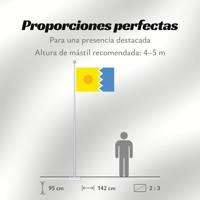 Proporciones de la bandera: Viña del Mar, Chile Viña del Mar