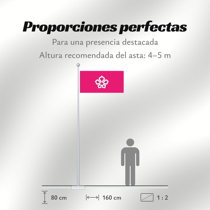 Proporciones de la bandera: HKUrbanCouncil