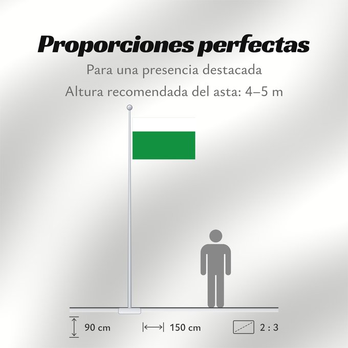 Proporciones de la bandera: Apulo  Cundinamarca	Apulo (Cundinamarca)	Municipio de Apulo  Cundinamarca