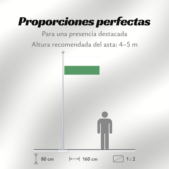 Proporciones de la bandera: Aranzazu  Caldas	Aranzazu (Caldas)	Municipio de Aranzazu  Caldas