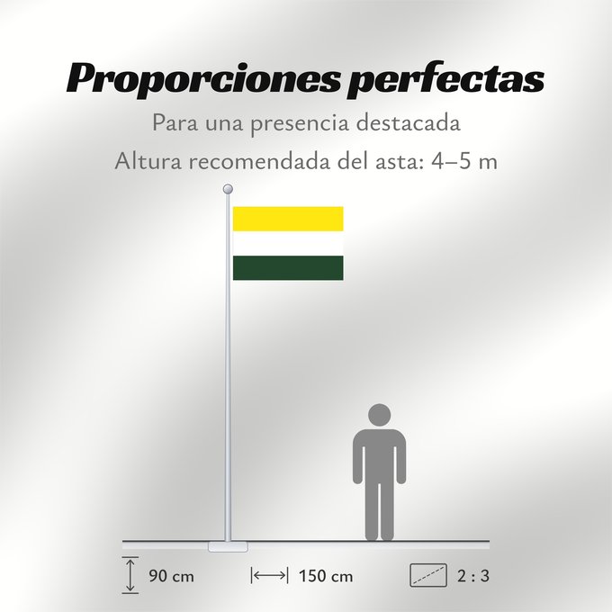 Proporciones de la bandera: Arenal  Bolívar	Arenal (Bolívar)	Municipio de Arenal  Bolívar