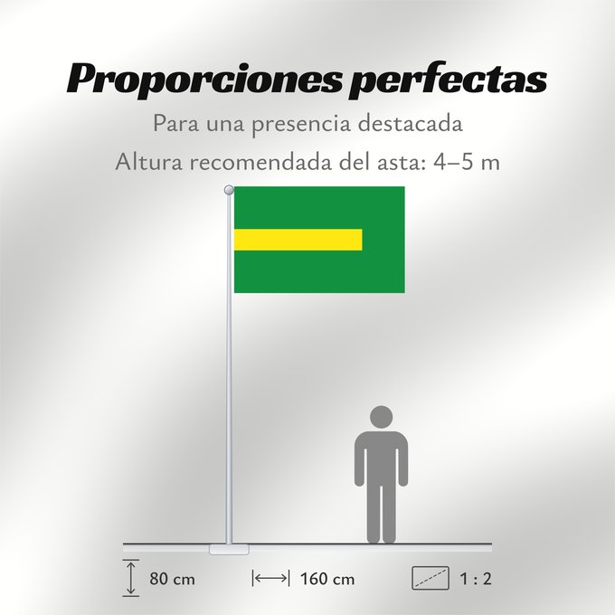 Proporciones de la bandera: Caucasia  Antioquia	Caucasia (Antioquia)	Municipio de Caucasia  Antioquia
