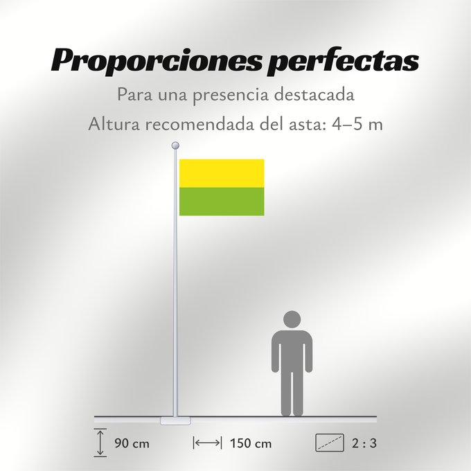 Proporciones de la bandera: Chía  Cundinamarca	Chía (Cundinamarca)	Municipio de Chía  Cundinamarca