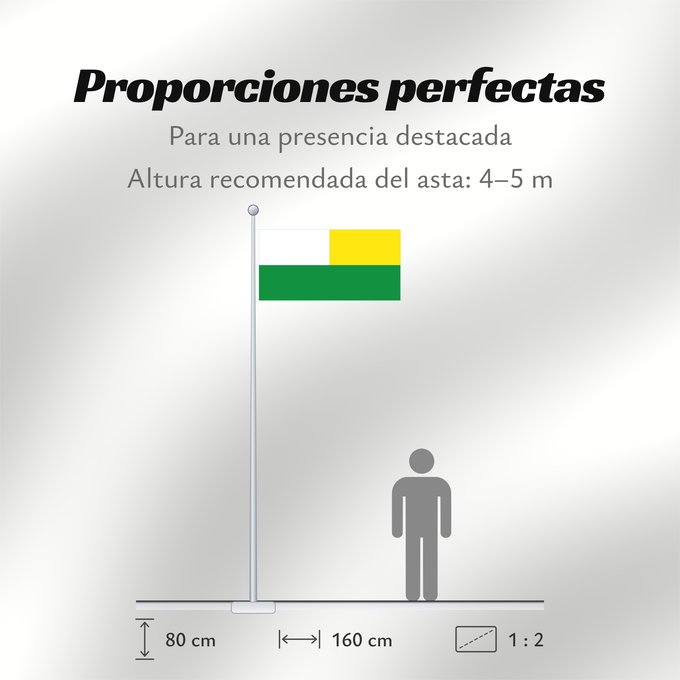 Proporciones de la bandera: El Espinal Tolima El Espinal (Tolima) Municipio de El Espinal Tolima