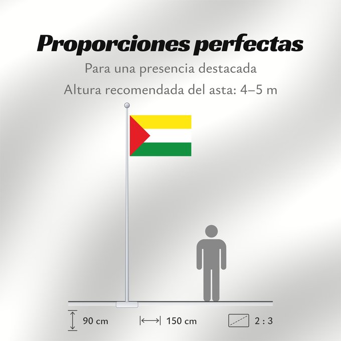 Proporciones de la bandera: Florián  Santander	Florián (Santander)	Municipio de Florián  Santander