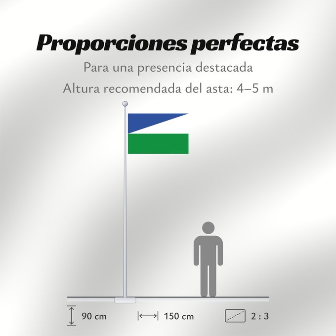 Proporciones de la bandera: González Cesar González (Cesar) Municipio de González Cesar