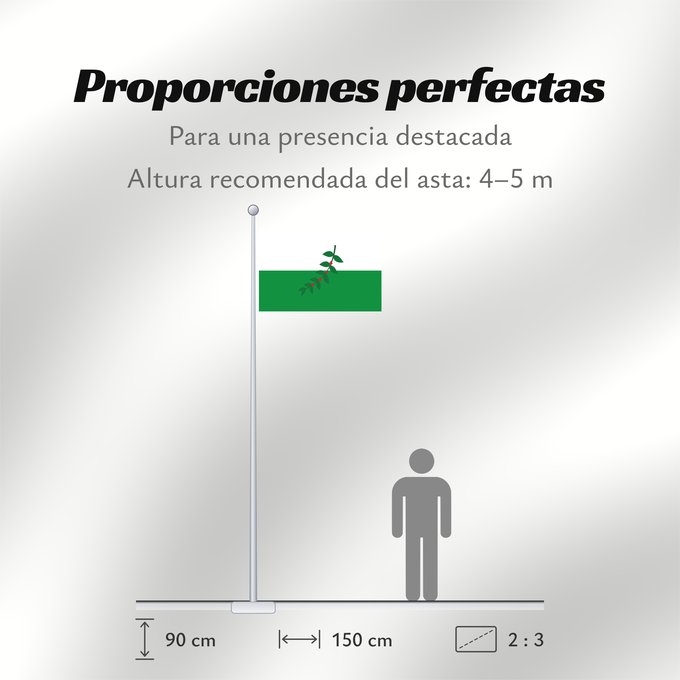 Proporciones de la bandera: La Celia  Risaralda	La Celia (Risaralda)	Municipio de La Celia  Risaralda