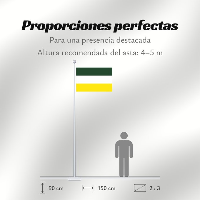 Proporciones de la bandera: La Jagua de Ibirico  Cesar	La Jagua de Ibirico (Cesar)	Municipio de La Jagua de Ibirico  Cesar