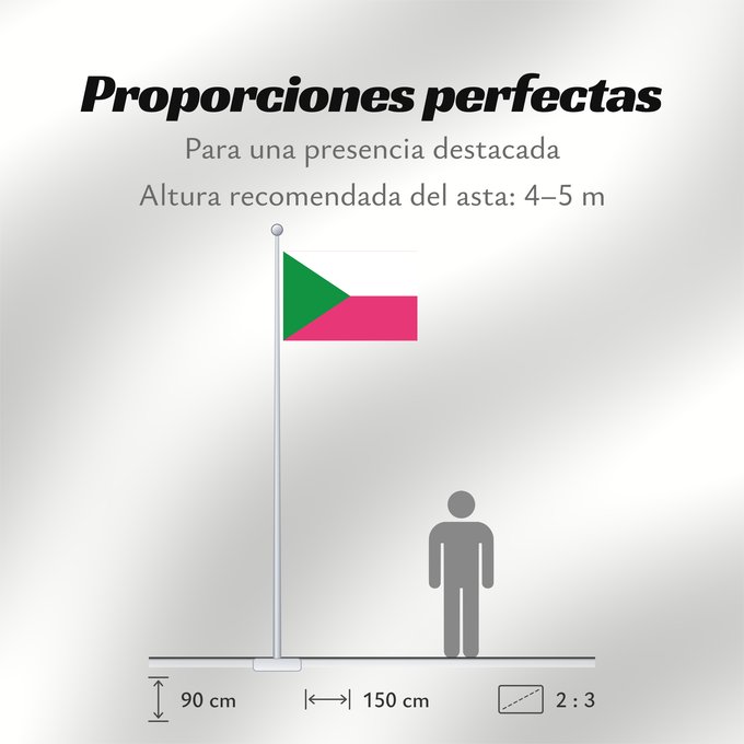 Proporciones de la bandera: La Tebaida  Quindío	La Tebaida (Quindío)	Municipio de La Tebaida  Quindío