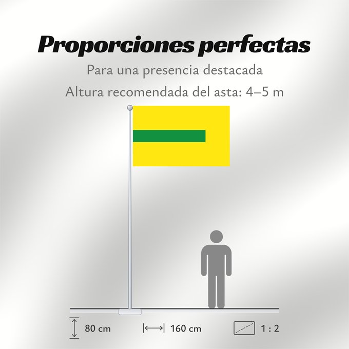 Proporciones de la bandera: La Virginia  Risaralda	La Virginia (Risaralda)	Municipio de La Virginia  Risaralda