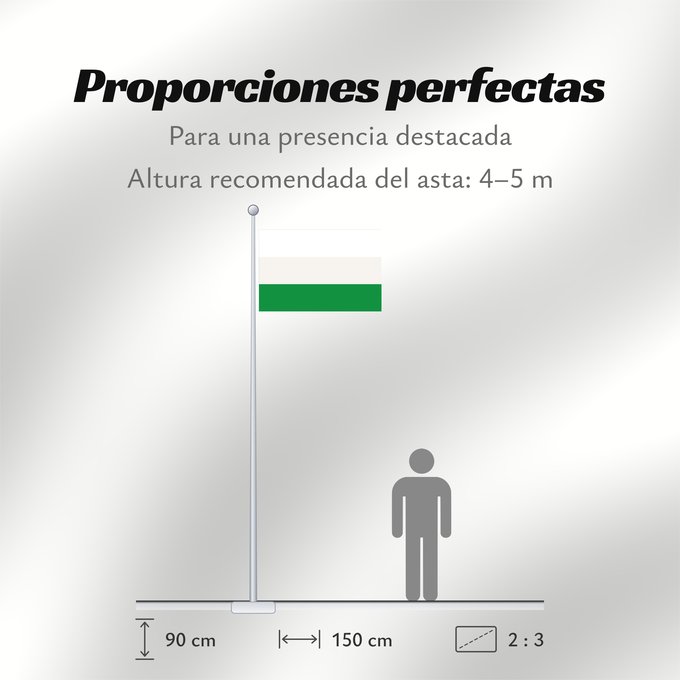 Proporciones de la bandera: Los Santos  Santander	Los Santos (Santander)	Municipio de Los Santos  Santander