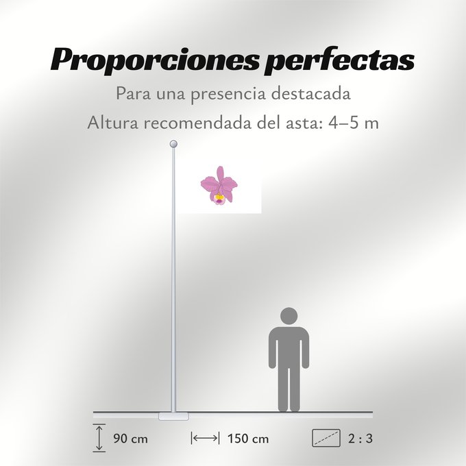 Proporciones de la bandera: Macanal Boyacá Macanal (Boyacá) Municipio de Macanal Boyacá