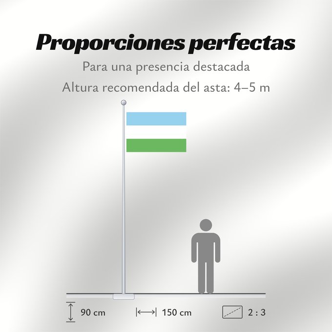 Proporciones de la bandera: Pacho Pacho, Cundinamarca