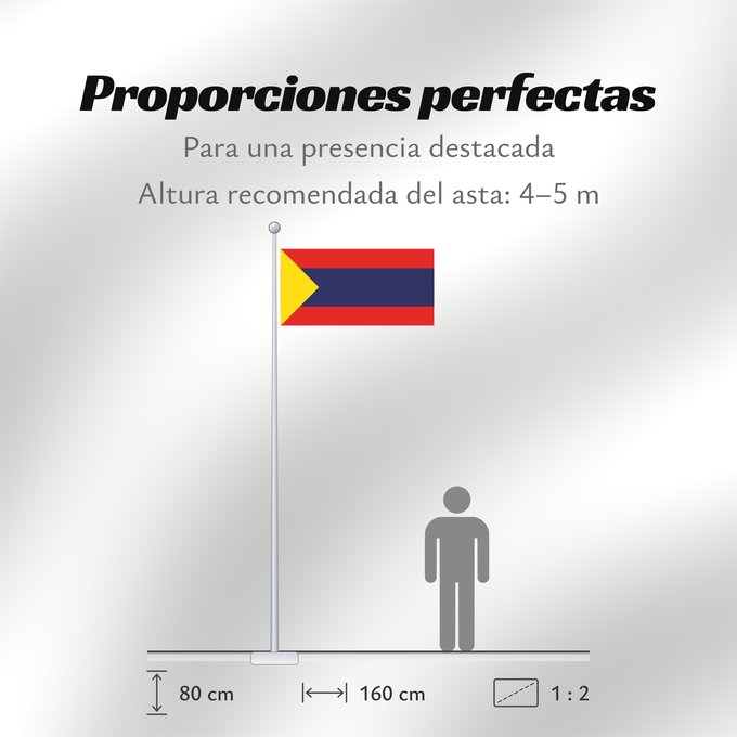 Proporciones de la bandera: Pasto